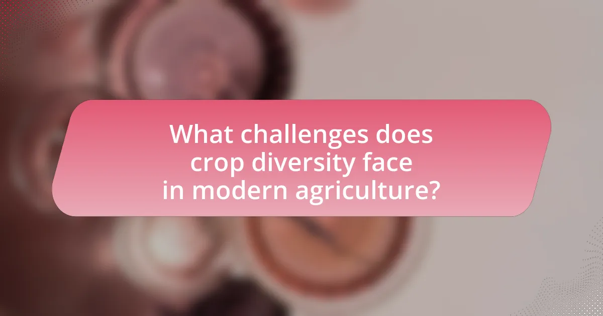 What challenges does crop diversity face in modern agriculture?